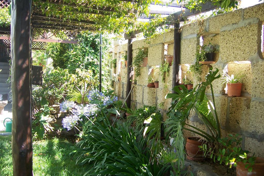 Casa Rural Anton Piche With Pool-Adults Only グラナディージャ・デ・アボナ エクステリア 写真