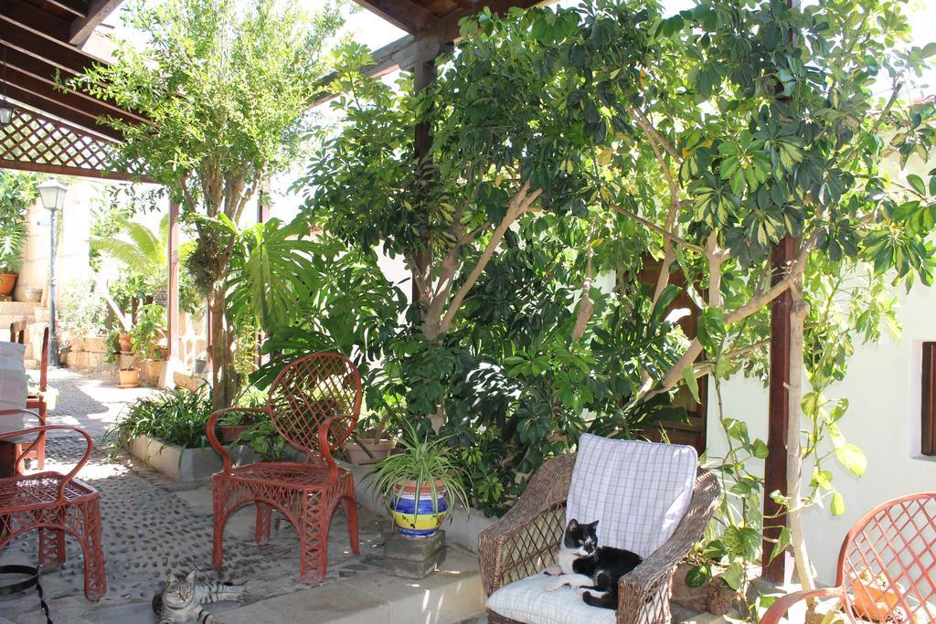 Casa Rural Anton Piche With Pool-Adults Only グラナディージャ・デ・アボナ エクステリア 写真