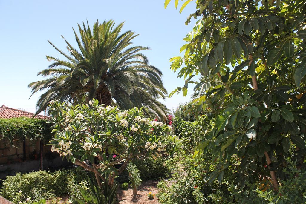 Casa Rural Anton Piche With Pool-Adults Only グラナディージャ・デ・アボナ エクステリア 写真