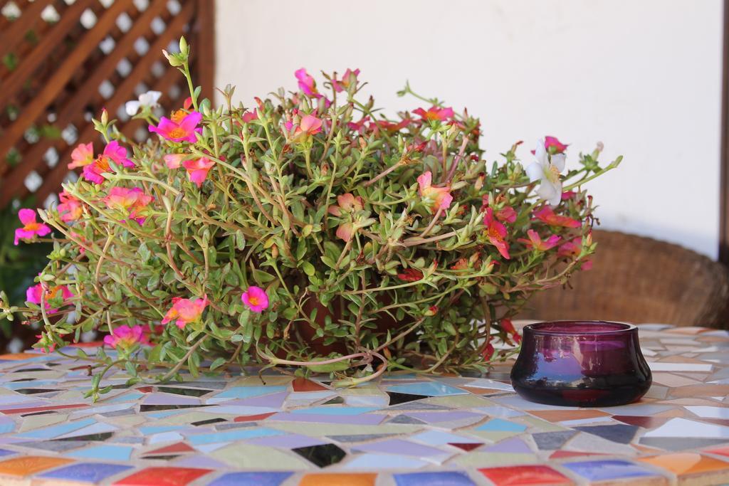 Casa Rural Anton Piche With Pool-Adults Only グラナディージャ・デ・アボナ エクステリア 写真