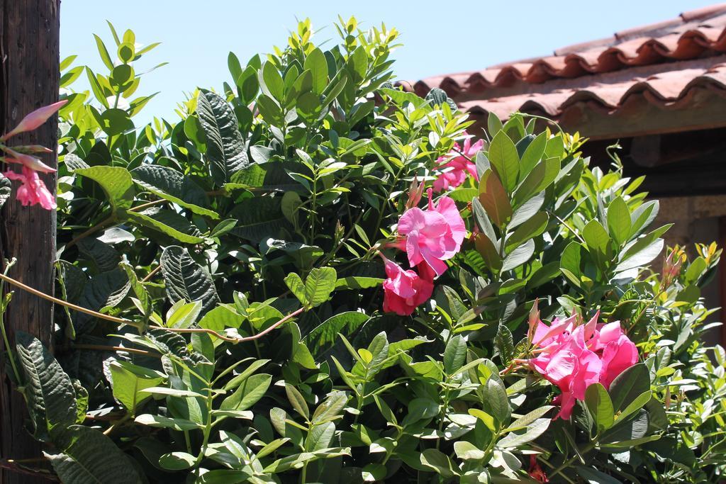 Casa Rural Anton Piche With Pool-Adults Only グラナディージャ・デ・アボナ エクステリア 写真
