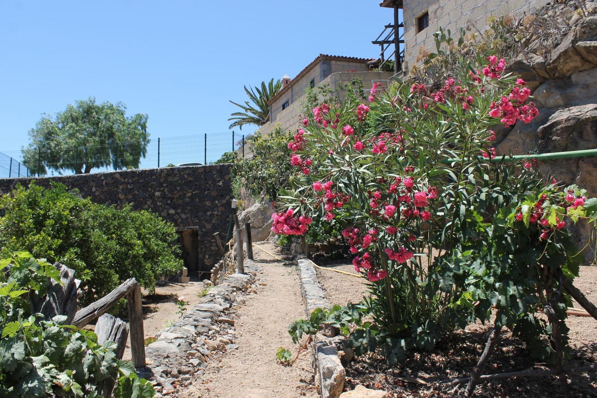 Casa Rural Anton Piche With Pool-Adults Only グラナディージャ・デ・アボナ エクステリア 写真
