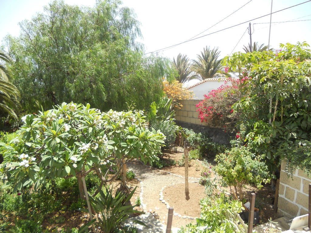 Casa Rural Anton Piche With Pool-Adults Only グラナディージャ・デ・アボナ エクステリア 写真