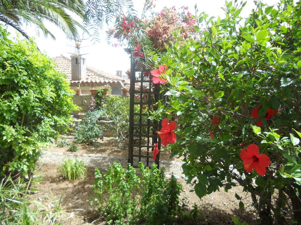 Casa Rural Anton Piche With Pool-Adults Only グラナディージャ・デ・アボナ エクステリア 写真