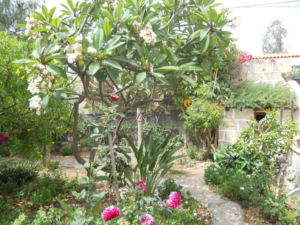 Casa Rural Anton Piche With Pool-Adults Only グラナディージャ・デ・アボナ エクステリア 写真