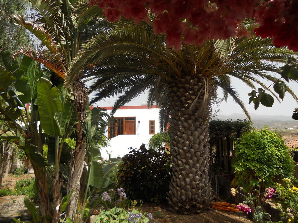 Casa Rural Anton Piche With Pool-Adults Only グラナディージャ・デ・アボナ エクステリア 写真